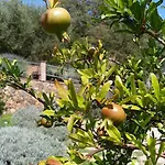 Il Giardino