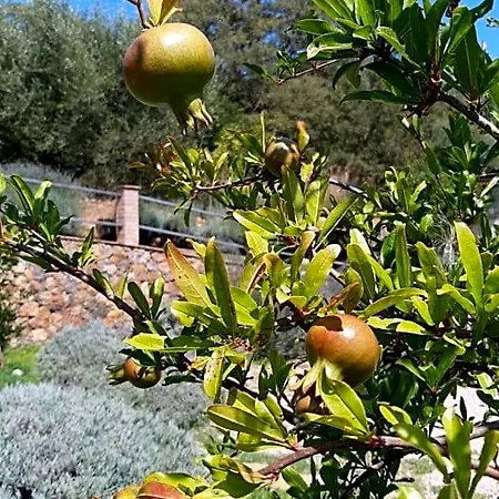 Il Giardino Bed & Breakfast